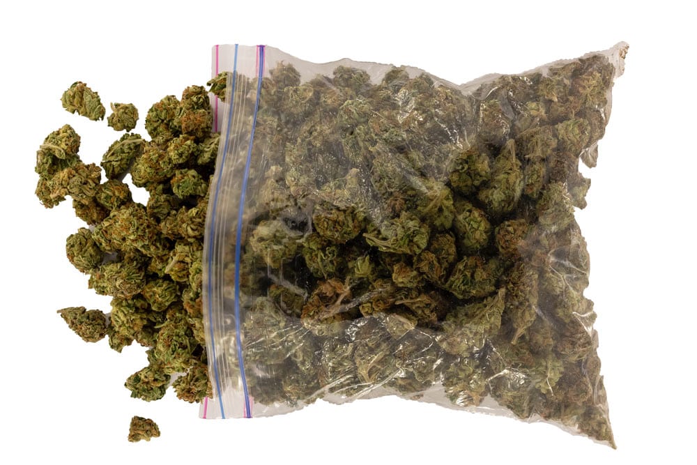 ziplock bag of marijuana