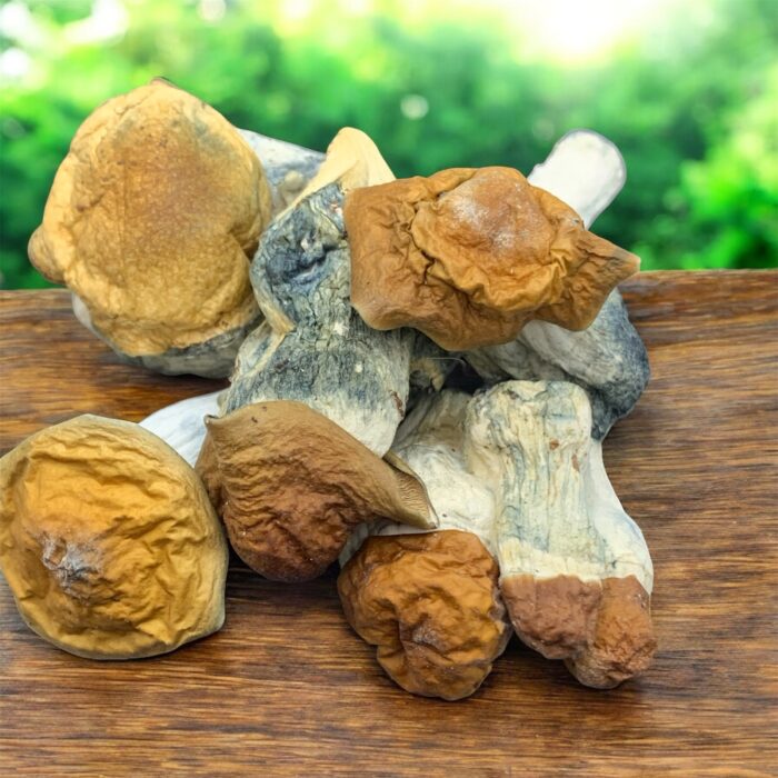 Blue Pulaski 🍄