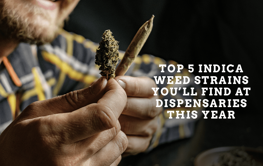 Indica weed in Cambridge