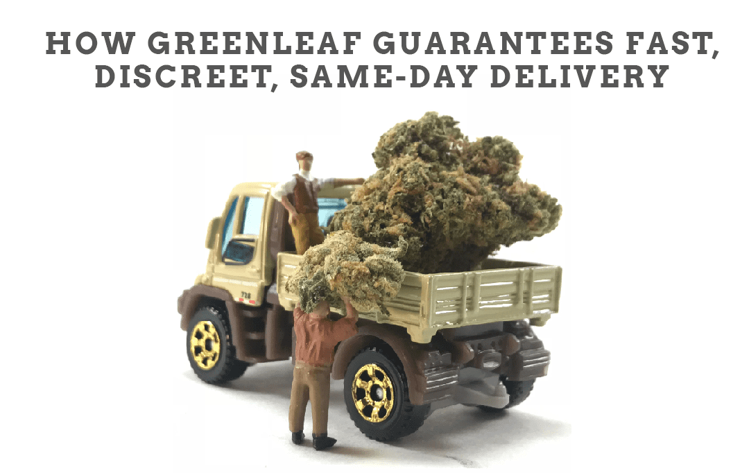 same day weed delivery in Kitchener