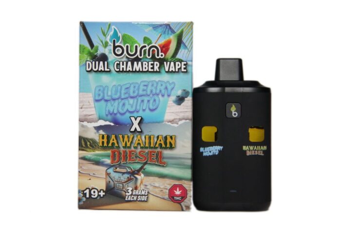 *New* Burn Disposable Vape Pen – Blueberry Mojito 3gs+ Hawaiian Diesel 3gs (6gram total!!)