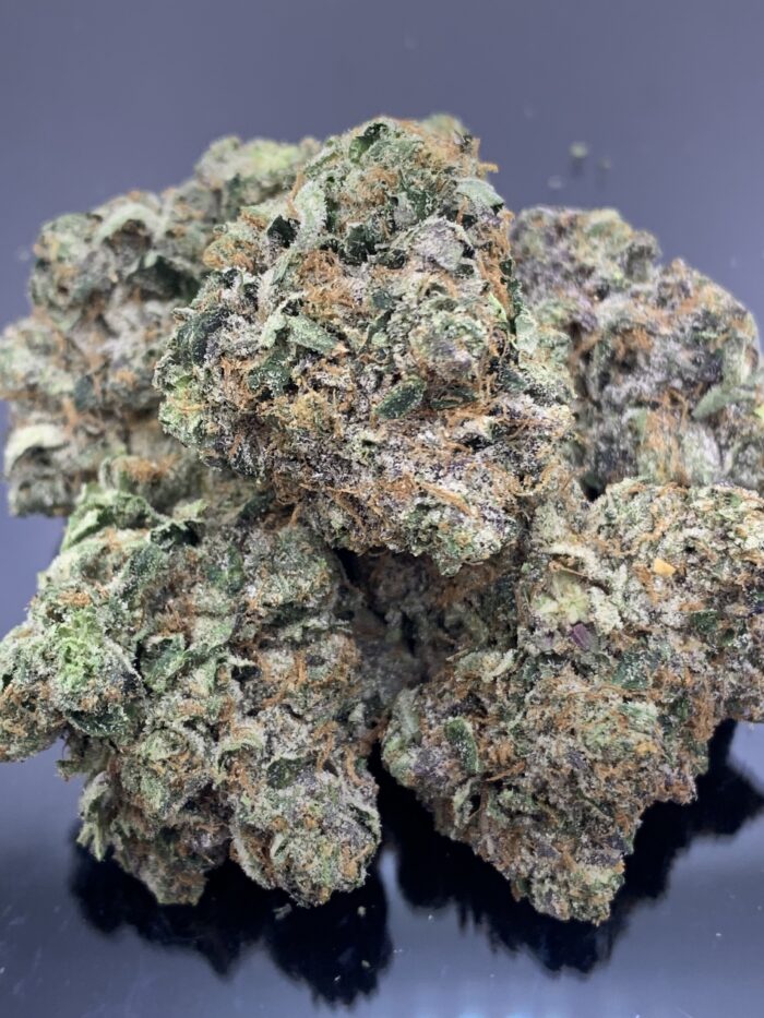 TOMB RAIDER (Heavy Indica)